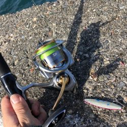 ジグサビキでアジ爆釣